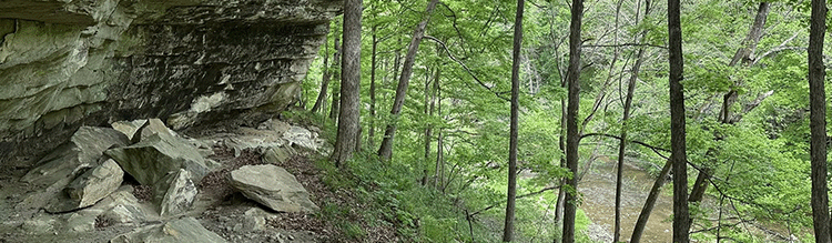 Progress Update: Whistler-Hare Woods