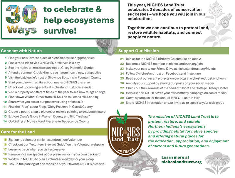 30 Ways to Celebrate