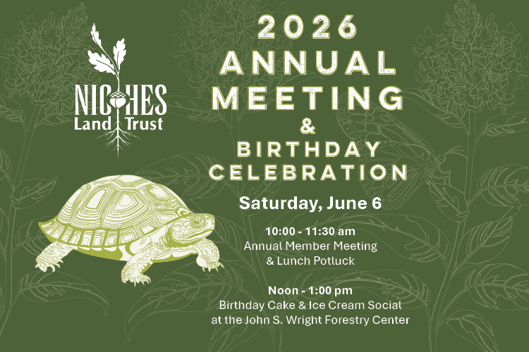 2026 Annual Meeting & Board Elections