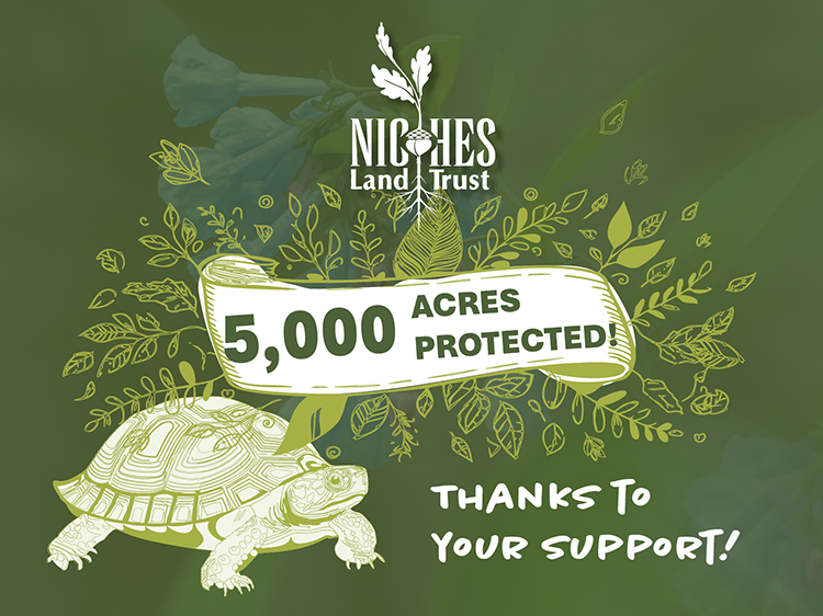 We Did It: 5,000 Acres Protected Forever