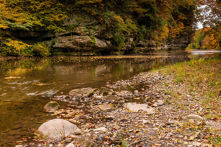 Communications Coordinator