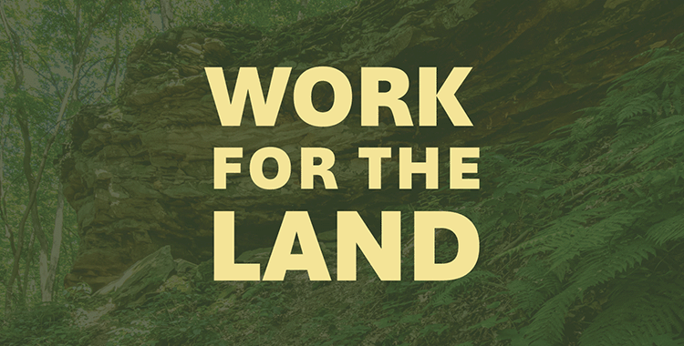 We're Hiring for Summer 2026!