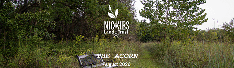 The Acorn E-news: August 2026