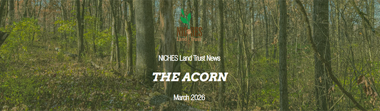 The Acorn E-news: March 2026