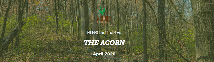 The Acorn E-news: April 2026