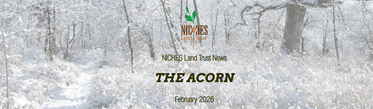 The Acorn E-news: February 2026