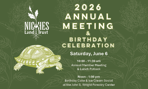 2026 Annual Meeting & Board Elections