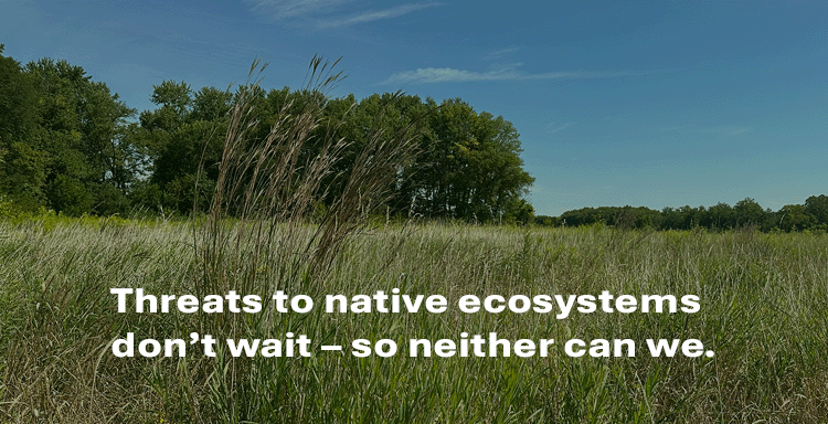 Help Protect 78 Acres Along the Wabash River Forever