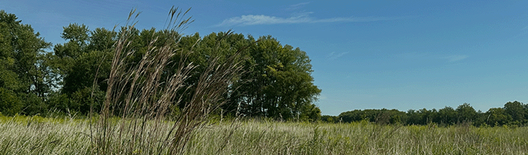 Help Protect 78 Acres Along the Wabash River Forever