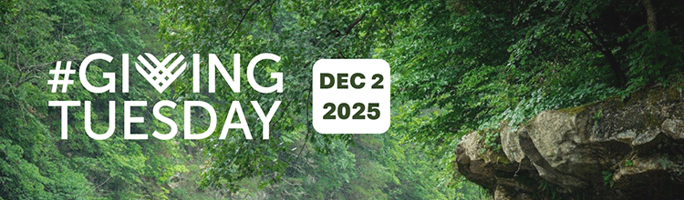 Triple Your Impact This Giving Tuesday