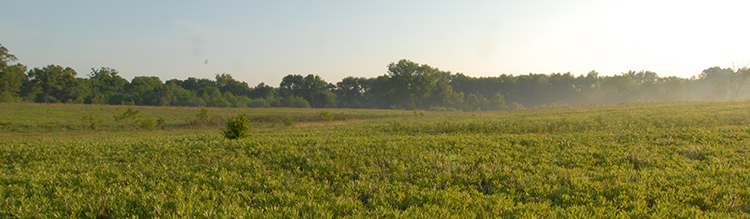 Rare Discoveries in Familiar Places