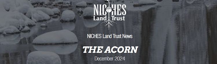 The Acorn E-news: December 2024