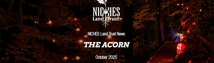 The Acorn E-news: October 2025