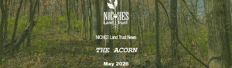 The Acorn E-news: May 2026