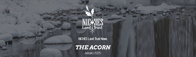 The Acorn E-news: January 2025