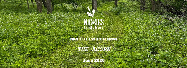 The Acorn E-news: June 2026