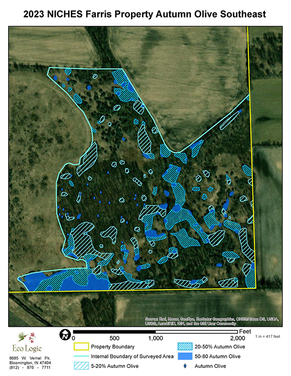 Autumn Olive Map