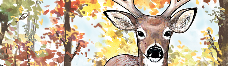 Here's Which Preserves Are Closed For Deer Management...