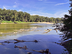 The river remembers every acre we save.