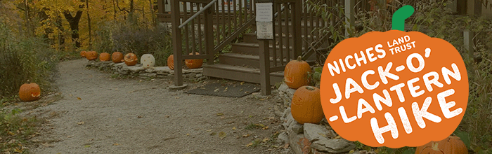 Experience Nighttime in Nature at Jack-O’-Lantern Hike