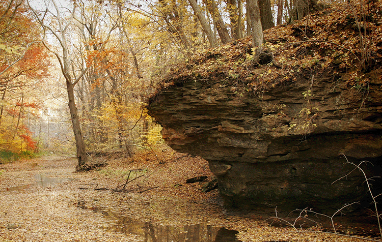 Metal Wright Rock Creek