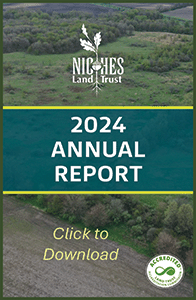 NICHES 2024 Annual Report