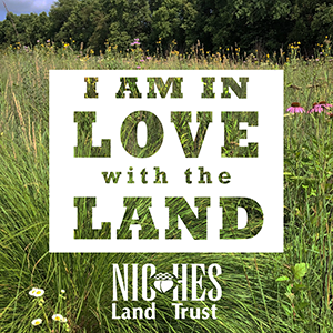 Social Graphic Love Land