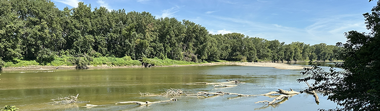 We Did It: 5,000 Acres Protected Forever