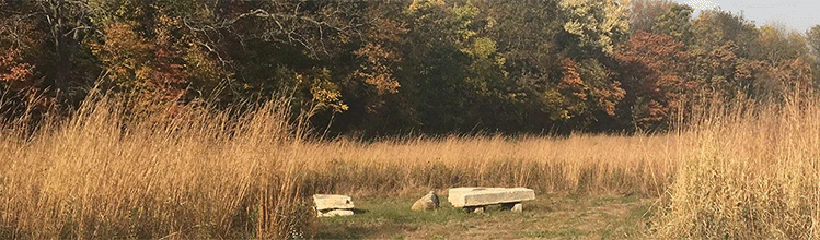 Warren Prairie Sanctuary