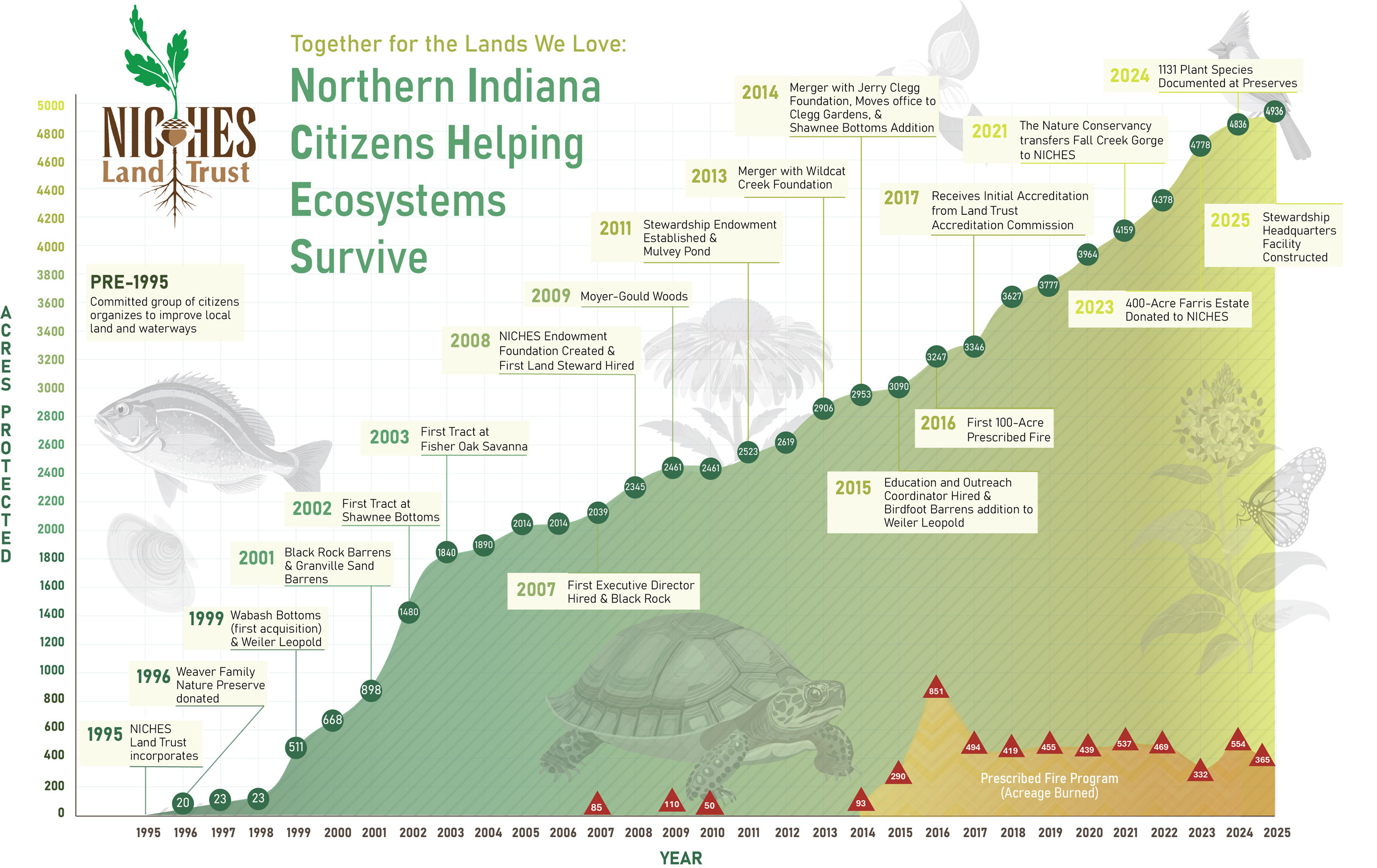 Info graphic showing the progression on NICHES history and major events since 1995.