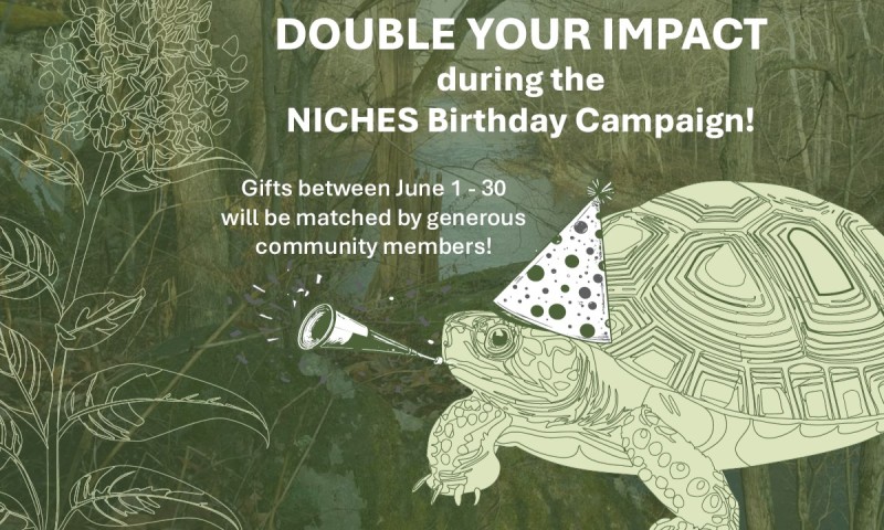 Growing Step by Step: Celebrating 31 Years of Conservation