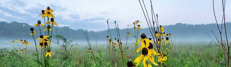 We're Hiring for Summer 2026!