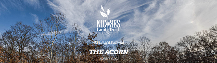 The Acorn E-News: February 2025