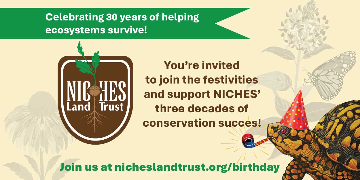 NICHES 30th birthday celebration 