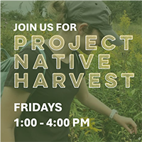 projectnativeharvestsquare