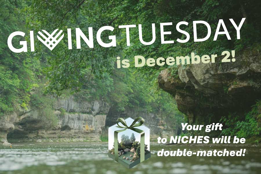 Double matching for Giving Tuesday donations