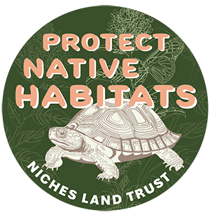 Circular sticker with a sketch of a turtle and the words, 