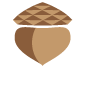 acorn icon