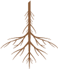 root icon