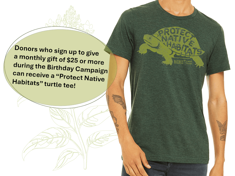 Forest green t-shirt with a turtle graphic and the words, Protect Native Habitats