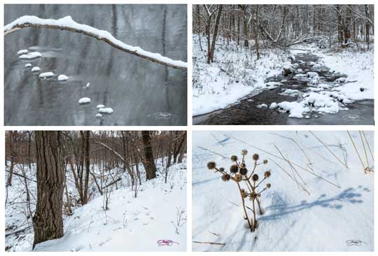 NICHES Winter Note Cards: Photos by Chad Phelps. (4 Note Cards w/Envelopes, Blank Inside, cards are 4"x6")