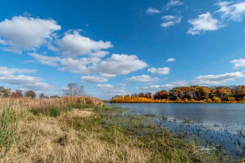 Mulvey Pond