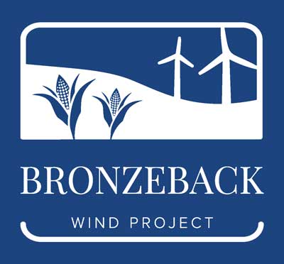 Bronzeback logo