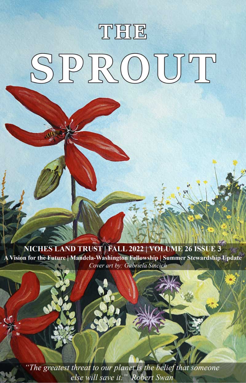 Illustration of a red flower on the cover of The Sprout