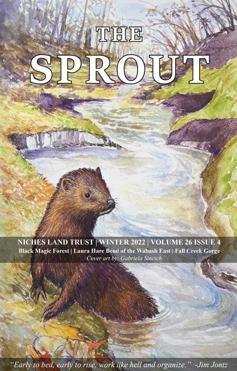 2022 Q4 Sprout Cover