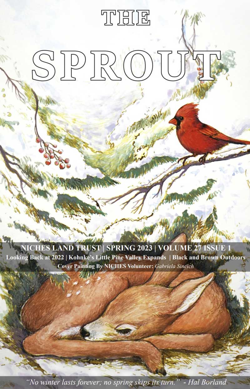 Color illustration of a red cardinal and a sleeping fawn on the cover of The Sprout