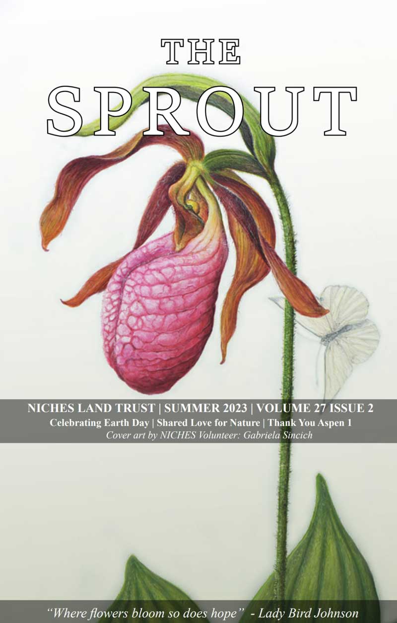 Color illustration of a pink Lady's Slipper orchid on the cover of The Sprout