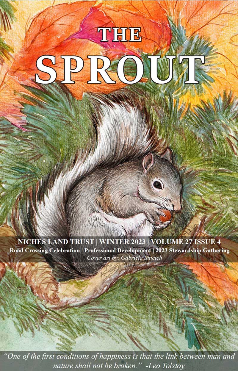 Color illustration of a squirrel on the cover of The Sprout